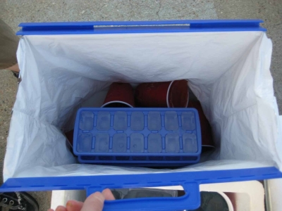 What's In the Bag?  What's In the Bag?