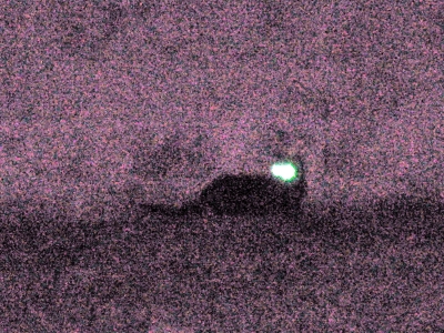 The Third Kitty: Revealed!