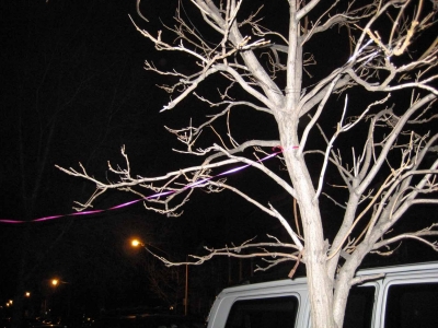 The Beginning of the String