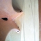 The Second Table