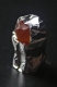 05.27.2008.13.34RoboGummySM.jpg
