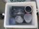 What's in the Cooler? 