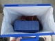 What's In the Bag? 
