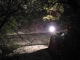 The Creek