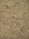 IMG_3621s.jpg