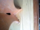 The Second Table