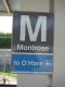 (Blue) Montrose to O'Hare