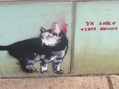 Kitty Graffiti  Kitty Graffiti