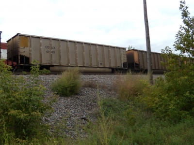 DSCN0270.JPG