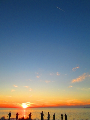 IMG_4544.JPG IMG_4544.JPG
