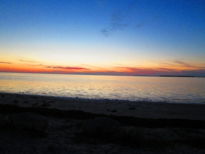 IMG_4570.JPG IMG_4570.JPG