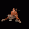 Spore_GIF_2009-01-24_12-24-20.gif