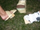 DSCN0496.JPG