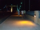 DSCN0508.JPG