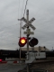 DSCN0511.JPG