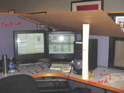 fort2.jpg