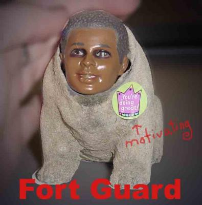 fort guard.jpg