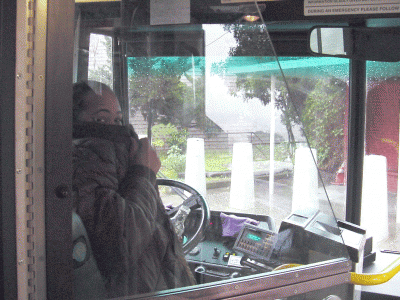 peeking bus driver.GIF