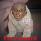 fort guard.jpg fort guard.jpg