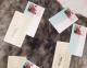 kittywithcards3.jpg kittywithcards3.jpg