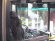 peeking bus driver.GIF