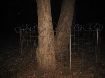 foreign08.jpg foreign08.jpg