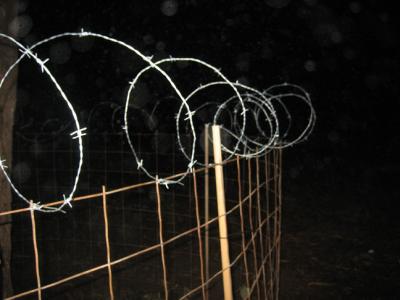 foreign18.jpg foreign18.jpg