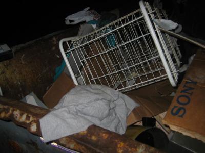 trash4.jpg