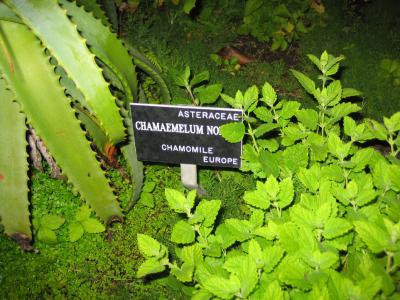 Botanical Gardens 2