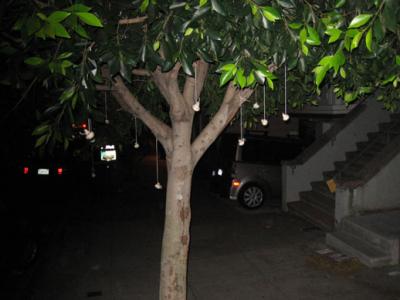 mushroom tree