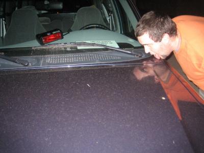 lickingtoads09.jpg lickingtoads09.jpg