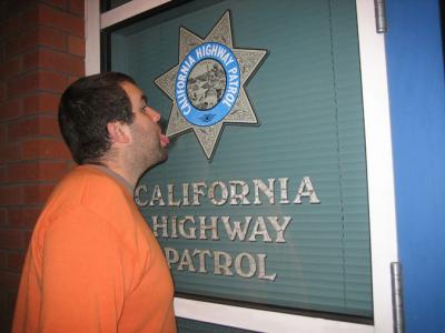 lickingtoads18.jpg