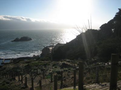 sunset1.jpg