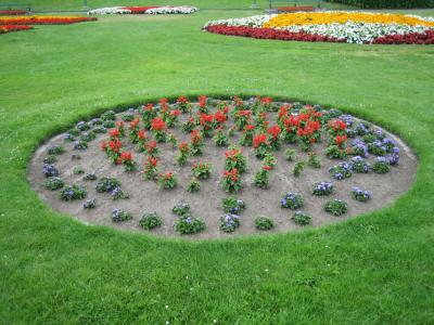 plantatree2.jpg