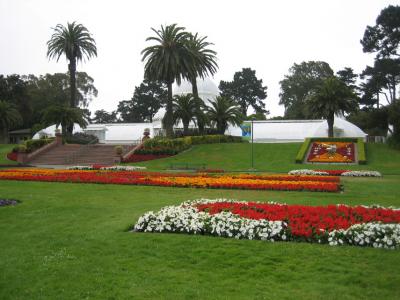 plantatree4.jpg