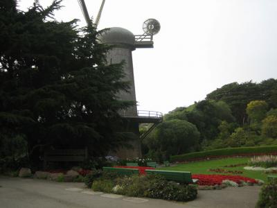 plantatree9.jpg