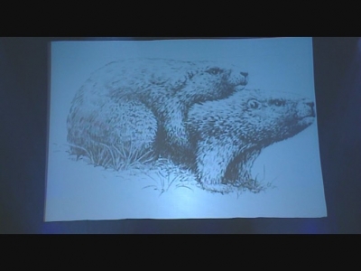 bscap004.jpg