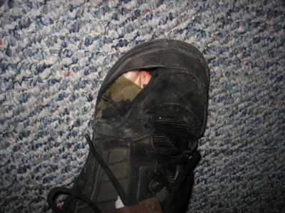 derby78.jpg derby78.jpg