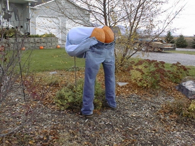 Pumpkin_mooning-1.jpg