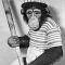 Monkeys have been baseball fans since the way back times.