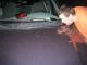 lickingtoads09.jpg