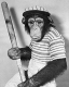 Monkeys have been baseball fans since the way back times.