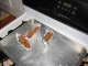 food03.jpg