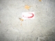 oneletter03.jpg