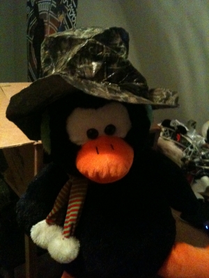 Penguin wearing Camo Hat
