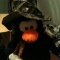 Penguin wearing Camo Hat