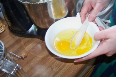 The eggs