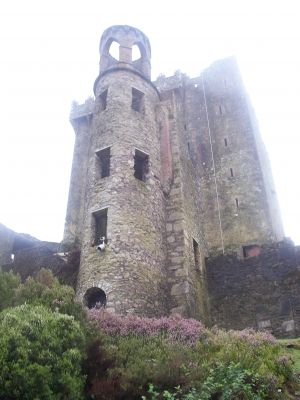 the castle