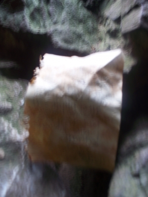 another annoyingly blurry pic