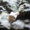 annoyingly blurry pic of note in castle where i left it